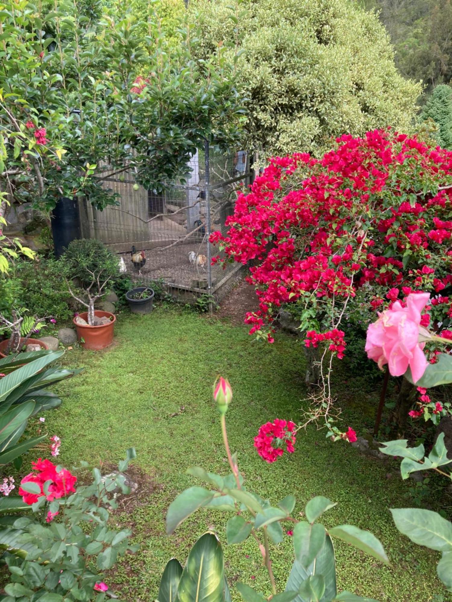 Вилла Les Begonias Силао Экстерьер фото